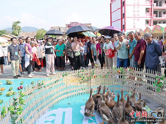 广西玉林举办农趣运动会庆祝农民丰收节