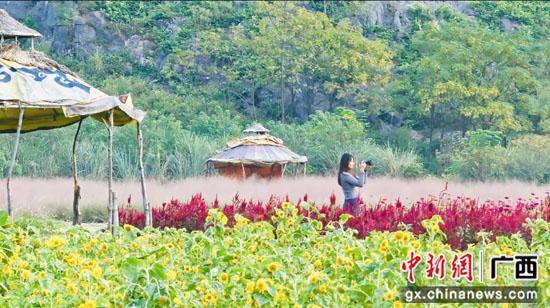 游客在“花田拾光”花海的向日葵里拍照。王亚东  摄