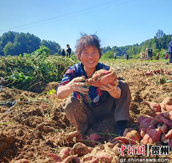 中国浦东干部学院“情牵江口”铺就乡村振兴“快车道”