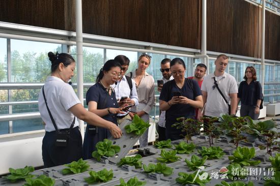 8月14日，在新疆农业博览园的智能温室，参访团成员了解新型农业技术。张佳煜 摄