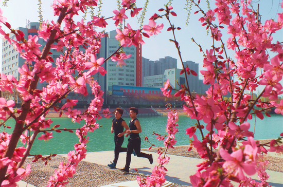 新疆库尔勒:柳绿花艳 踏青赏景正当时