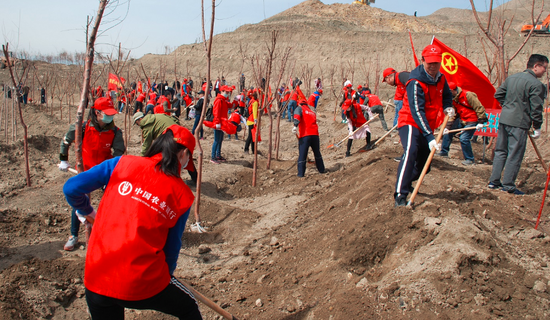 农行新疆兵团分行开展2018年春季义务植树活