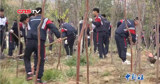 新疆修改义务植树条例每人至少3颗树 师生点赞