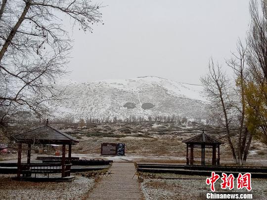 新疆兵团团场降雪提前 影响农牧业生产