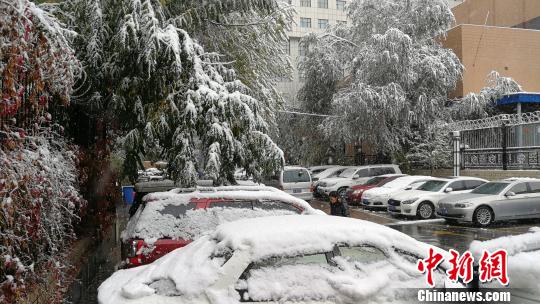 乌鲁木齐暴雪致树“折腰”道路拥堵 航班延误
