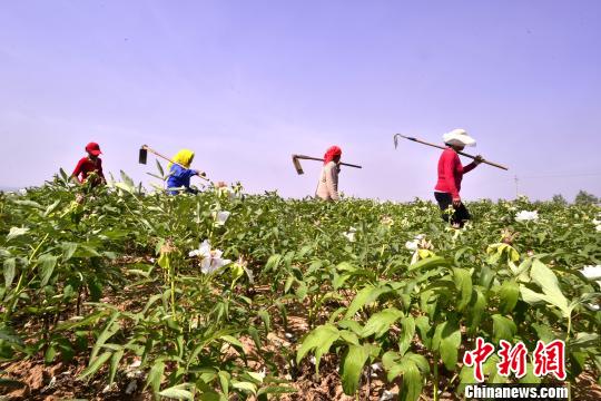 脱贫攻坚:中国农村贫困人口6年减少逾8000万