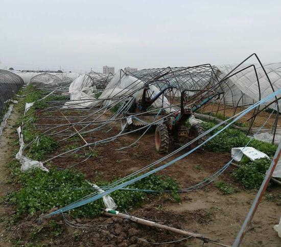 大棚防风网选购指南：规格参数、材质对比与使用寿命全解析 (蔬菜大棚防风网)-初仟社区