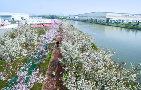 进击的浙江嘉兴:接轨东方明珠 打造外资集聚