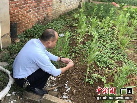 图为李欢在石鼓塘站利用休息时间种菜。陈国君 摄