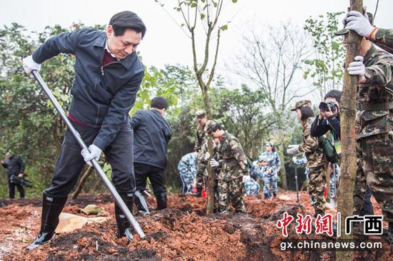 图为广西壮族自治区人民检察院检察长崔智友(左一)正在植树。陈冠言 摄