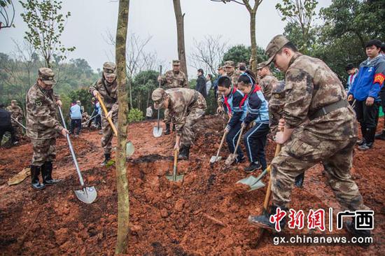 图为植树活动现场。陈冠言 摄
