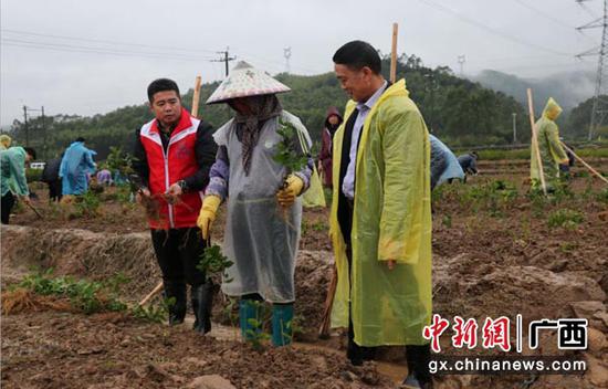 图为技术员向第一书记、县领导讲授种花要点。 图为技术员向第一书记、县领导讲授种花要点。