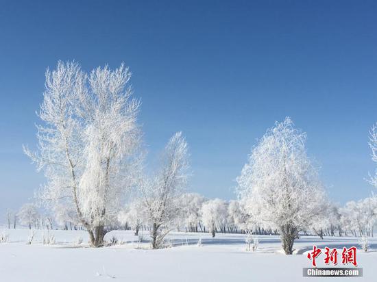 新疆北部富蕴县出现大面积雾凇美景
