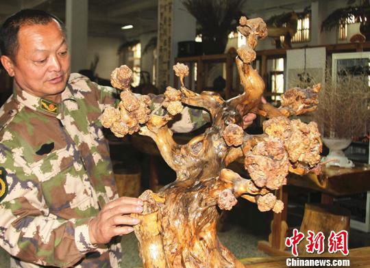 新疆兵团根雕艺人致力钻研根雕技艺化腐朽为神奇