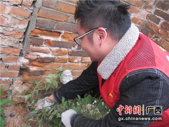 邮储银行梧州市分行党员拔除路边杂草,配合社区开展街道环境治理。 邮储银行梧州市分行党员拔除路边杂草,配合社区开展街道环境治理。