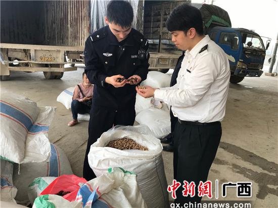 查验现场。 查验现场。