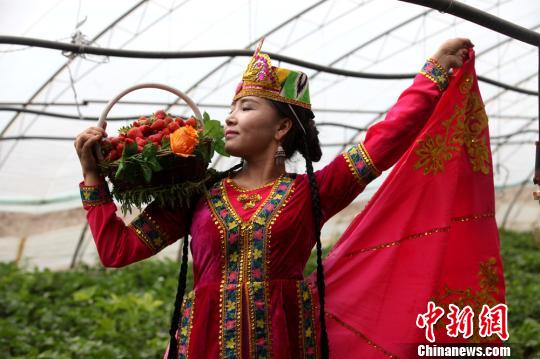 新疆和静县草莓节开幕 游客喜摘草莓带热乡村游