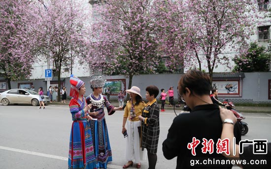 主播采访赏花民众 主播采访赏花民众