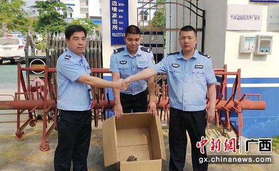 图为平而边境派出所民警将蜂猴移交给林业民警。 图为平而边境派出所民警将蜂猴移交给林业民警。