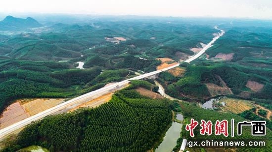 图为建设中的贵港至隆安高速公路 图为建设中的贵港至隆安高速公路