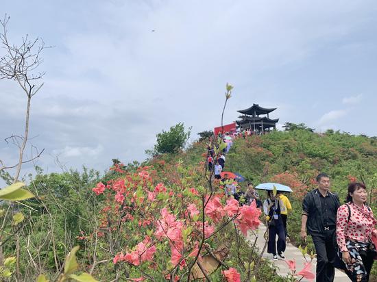 浙江磐安举办杜鹃花节 掘金赏花经济助力乡村振兴