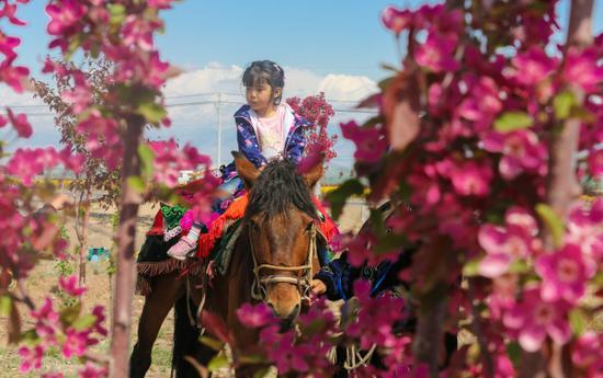2019新疆博乐市首届文化旅游节盛大开幕