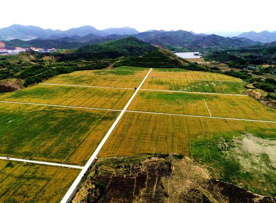 通讯员 许旭)7日,俯瞰浙江省湖州市长兴县和平镇虹东矿区(无人机拍摄)