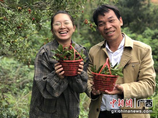 图为游客采摘杨梅。 图为游客采摘杨梅。