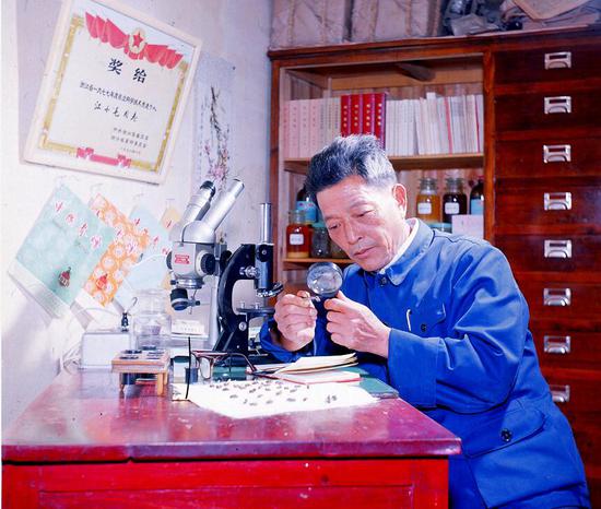 桐庐养蜂带头人江小毛。郭其钰 摄