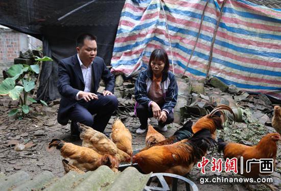 图为邮储银行隆安县支行发放扶贫小额信贷支持贫困户养殖。 图为邮储银行隆安县支行发放扶贫小额信贷支持贫困户养殖。