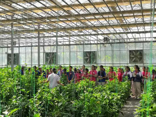 600余名孩子在新疆农业博览园过“六一”
