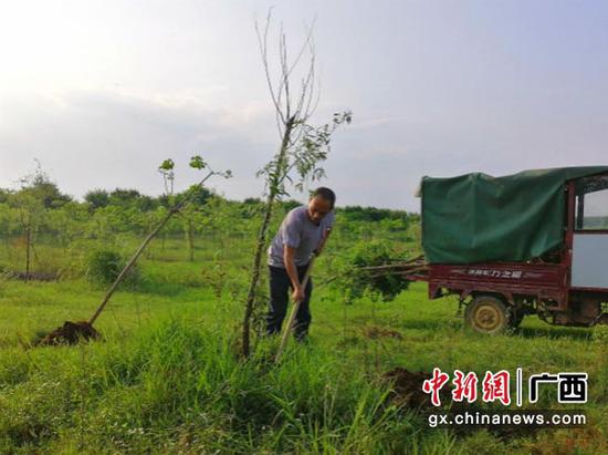 圖為李某在富川龜石國家濕地公園補種樹苗。法院供圖 圖為李某在富川龜石國家濕地公園補種樹苗。法院供圖