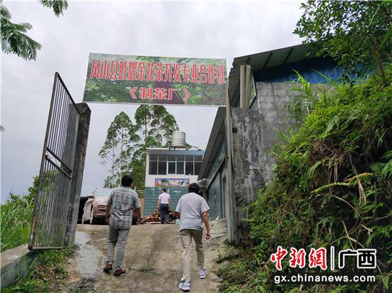 圖為合作社制茶廠。 圖為合作社制茶廠。