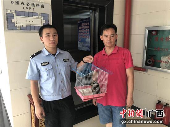 民警将受伤的猫头鹰移交给野生动物救护部门。 民警将受伤的猫头鹰移交给野生动物救护部门。