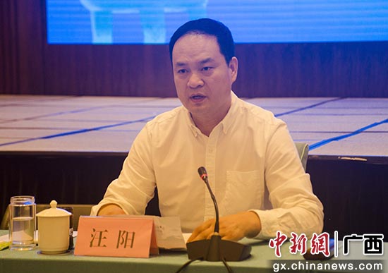 民建中央社会服务部副部长汪阳