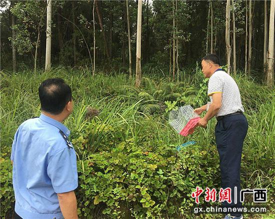 民警与野生动物保护部门一起将猫头鹰放归大自然。 民警与野生动物保护部门一起将猫头鹰放归大自然。