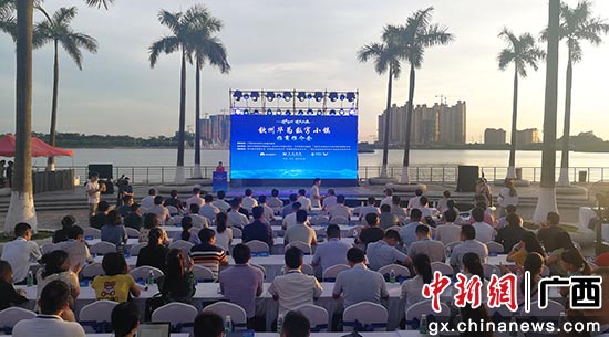 钦州华为数字小镇推介会