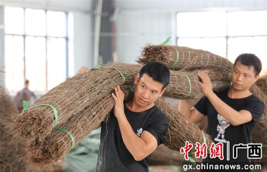 工人们在生产线上作业。谭凯兴 摄 工人们在生产线上作业。谭凯兴 摄