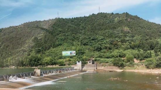 瘦身"三减肥"浙江省胶囊环境厅为生态送"及时雨"深化缴企业服务图片