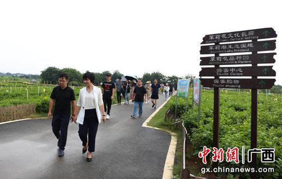 图为参加活动的画家走访中华茉莉园。 图为参加活动的画家走访中华茉莉园。