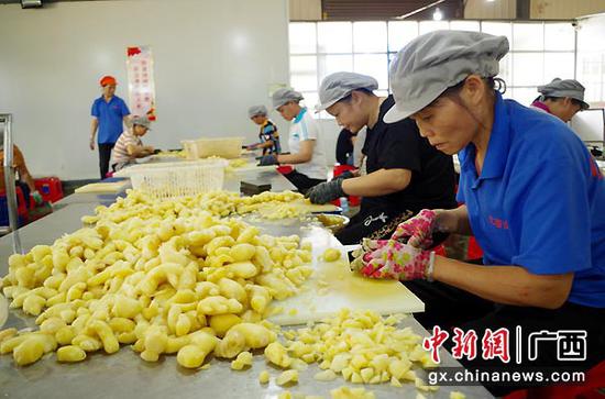 图为广西大新亿春食品有限公司工作人员在忙碌着。 图为广西大新亿春食品有限公司工作人员在忙碌着。
