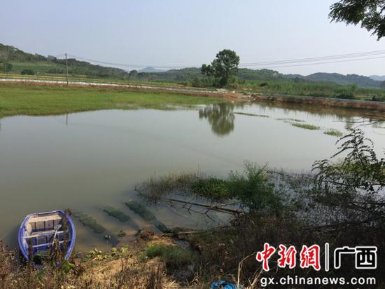 柳州市悦鑫水产养殖专业合作社小龙虾繁殖基地。 柳州市悦鑫水产养殖专业合作社小龙虾繁殖基地。
