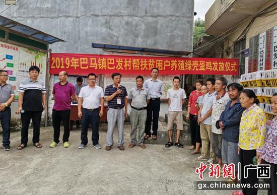 圖為發放綠殼蛋雞現場。 圖為發放綠殼蛋雞現場。