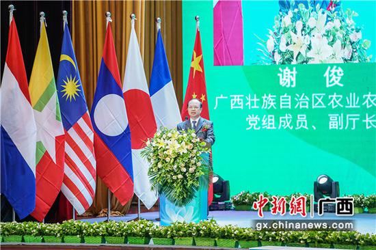 广西壮族自治区农业农村厅党组成员、副厅长谢俊 广西壮族自治区农业农村厅党组成员、副厅长谢俊