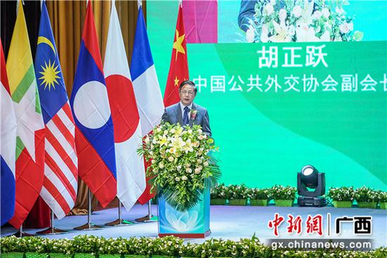 中国公共外交协会副会长 胡正跃 中国公共外交协会副会长 胡正跃