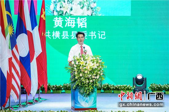 中共横县县委书记 黄海韬 中共横县县委书记 黄海韬
