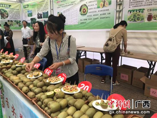 参展种植户正在摆放猕猴桃