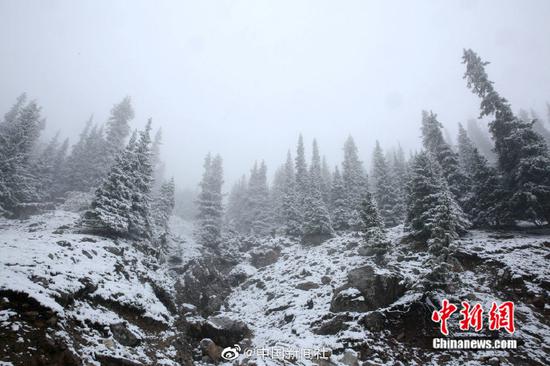 　　[“最美公路”遇上雪景有多美？随手一拍都是桌面壁纸！]继7日出现降雪后，位于新疆西北部的伊昭公路察布查尔路段10日再次迎来降雪，该公路是新疆最美的公路之一，被誉为可媲美独库公路的险峻与壮美。此次降雪，积雪较多，道路湿滑，青色的松树上、褐色的岩石上都落满雪花。山间和森林里云雾萦绕，一幅美不胜收的图画。由于降雪和浓雾天气，该路段不具备通行条件，已临时双向交通管制。（努尔曼拜·杰提米斯拜 摄）