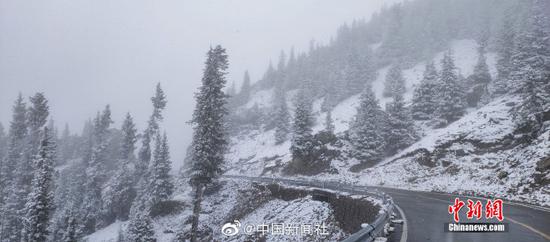 　　[“最美公路”遇上雪景有多美？随手一拍都是桌面壁纸！]继7日出现降雪后，位于新疆西北部的伊昭公路察布查尔路段10日再次迎来降雪，该公路是新疆最美的公路之一，被誉为可媲美独库公路的险峻与壮美。此次降雪，积雪较多，道路湿滑，青色的松树上、褐色的岩石上都落满雪花。山间和森林里云雾萦绕，一幅美不胜收的图画。由于降雪和浓雾天气，该路段不具备通行条件，已临时双向交通管制。（努尔曼拜·杰提米斯拜 摄）