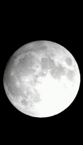 图为溪山深渡天文望远镜拍摄的月亮。主办方供图